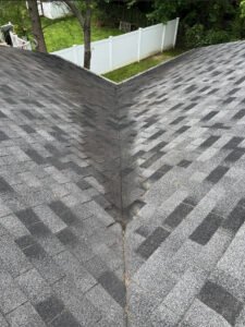 Gutter cleaning after