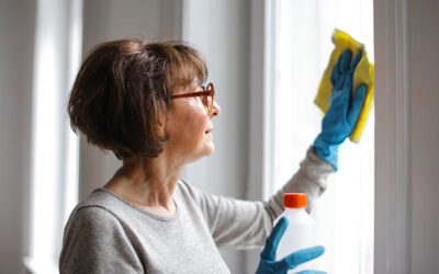 How to Clean Windows Like a Professional: A Step-by-Step Guide