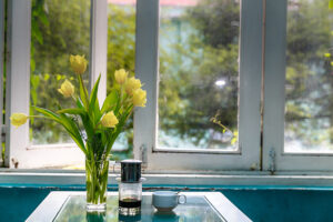 A window frame with a view inside of yellow flowers and a coffee pot