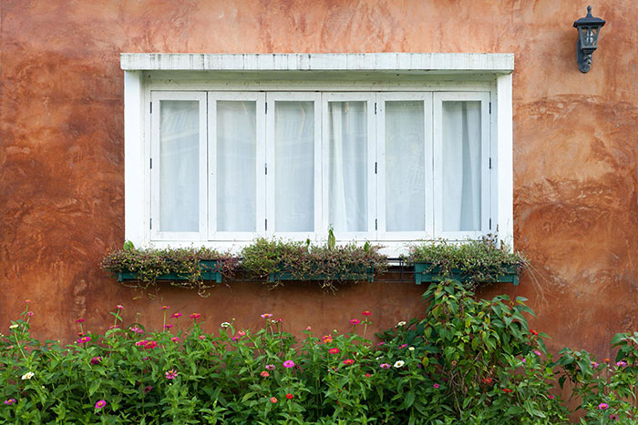 Maintain Home Beauty: Best Window Cleaning Tips 