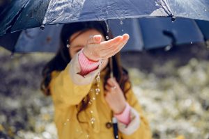 Crystal Clear Windows Despite Houston's Weather Challenges