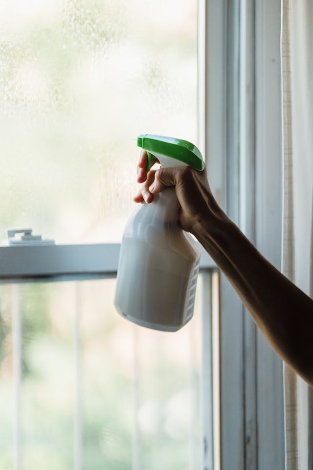 Best DIY Solutions for Cleaning Your Windows