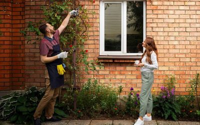 Essential Spring Cleaning Tips for Your Home’s Exterior