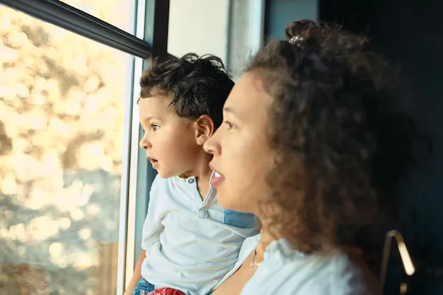 Houston Window Cleaning Window Screen Security
