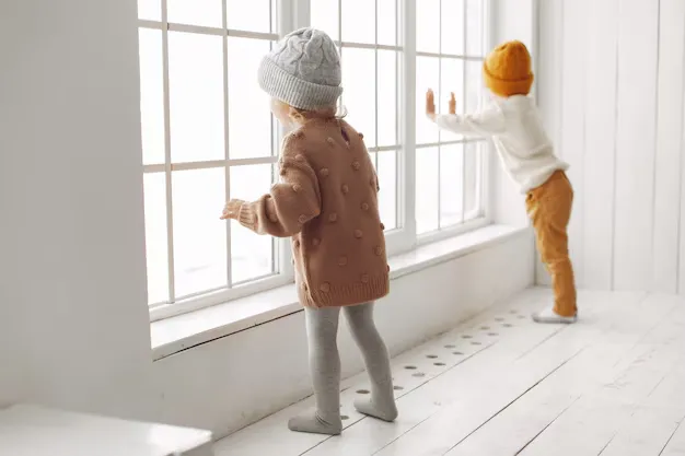The Role of Window Screens in Home Security