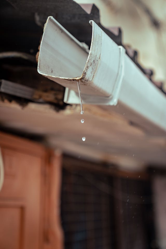 Houston Gutter Cleaning for Clogged Gutters 