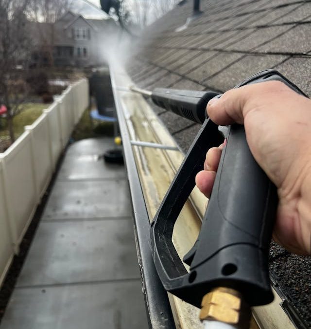 Professional vs. DIY Gutter Cleaning: Which Is Best?
