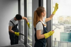 How to Choose the Right Window Houston Cleaning Company for Your Home